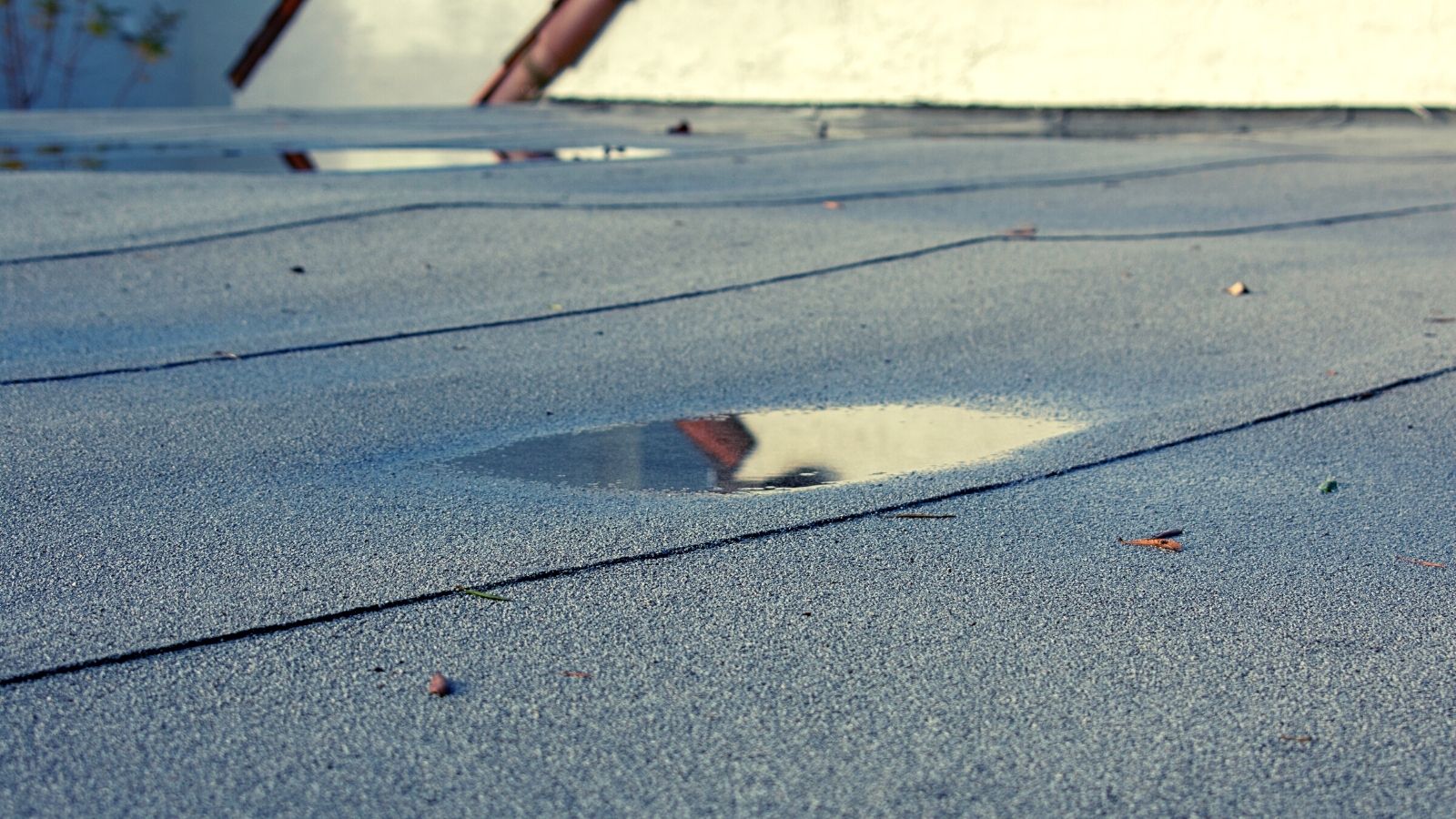 Roof Leaks A Top Source Of Water Damage In Commercial Buildings